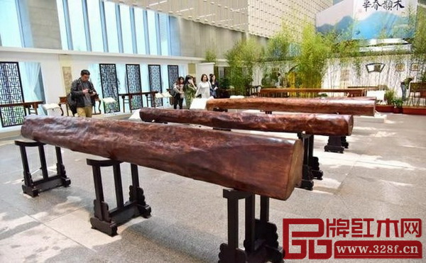 巨型海南黃花黎天然圓木 巨型海南黃花黎天然圓木