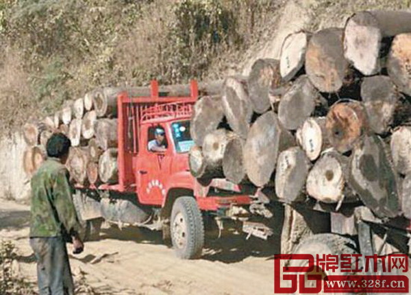 圖為紅木走私資料圖 圖為紅木走私資料圖