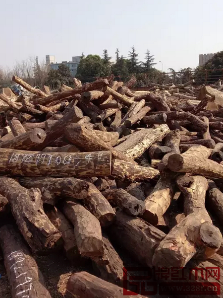 2017年3月，中國江蘇張家港木材市場(chǎng)堆放著大量的染料紫檀