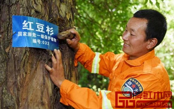 紅豆杉是中國國家瀕危一級(jí)保護(hù)植物，紅博城的古戲臺(tái)是國內(nèi)目前唯一一座由紅豆杉建造的戲臺(tái)，十分珍稀