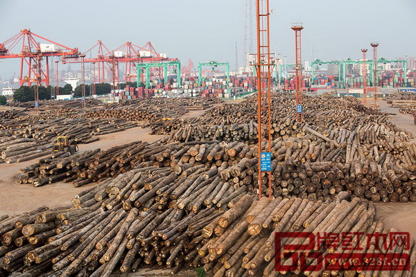 中國江蘇張家港市金港鎮(zhèn)，是血檀進(jìn)入中國的主要入港口，同時(shí)也是全國最大的木業(yè)市場。（圖片來源：盧廣∕Greenpeace綠色和平）