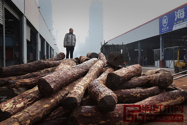 血檀因木性接近瀕臨滅絕的小葉紫檀而受到國內(nèi)廠商的青睞，再加上近幾年贊比亞政府對血檀非法砍伐和貿(mào)易的嚴(yán)厲打擊，血檀價(jià)格水漲船高。金港木業(yè)城內(nèi)，正在采購血檀的木材中間商，經(jīng)歷了成交前1小時(shí)，血檀突然從2.3萬元人民幣/噸上漲為2.8萬元人民幣/噸的噩夢。（圖片來源：盧廣∕Greenpeace綠色和平）