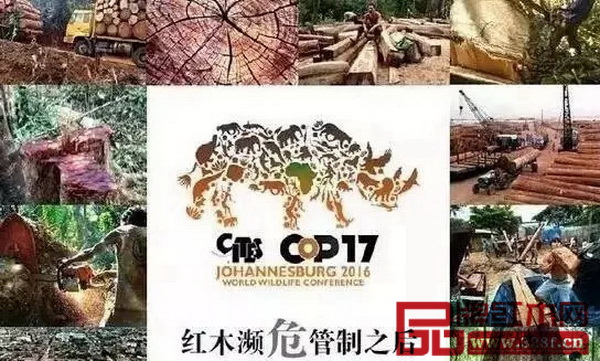 《瀕危野生動(dòng)植物種國(guó)際貿(mào)易公約》執(zhí)行后導(dǎo)致紅木家具和原材料價(jià)格倒掛加劇