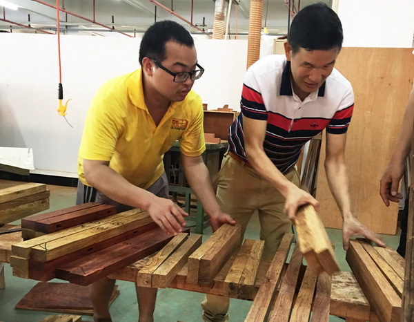 區(qū)氏臻品董事長區(qū)勝春(右)與工匠一同嚴把黃花梨選料 區(qū)氏臻品董事長區(qū)勝春(右)與工匠一同嚴把黃花梨選料