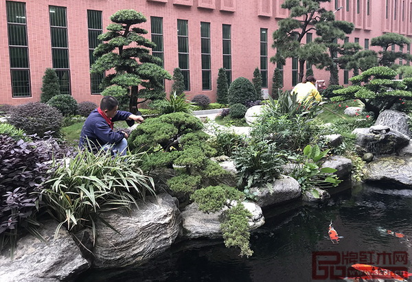 園藝人對綠植花卉等進行修剪、整理