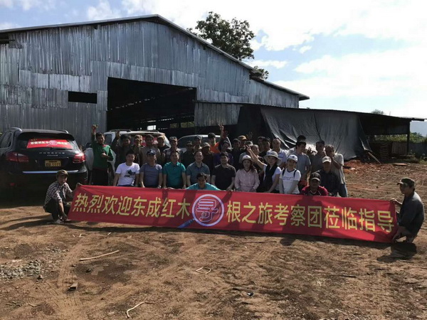 東成紅木開啟東南亞紅木尋根之旅