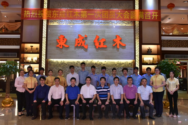 凝聚青年力量，東成紅木團(tuán)支部正式成立