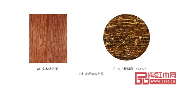  《紅木》國標(biāo)中緬甸花梨木材宏觀構(gòu)造照片（左邊為實(shí)木縱切面，右邊為實(shí)木橫切面）