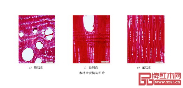  《紅木》國標(biāo)中緬甸花梨微觀構(gòu)造照片（從左到右依次為橫切面、徑切面、弦切面）