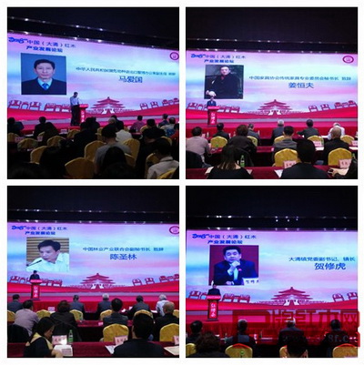 國(guó)家瀕危物種進(jìn)出口管理辦公室副主任馬愛(ài)國(guó)（上左）、中國(guó)家具協(xié)會(huì)傳統(tǒng)家具專業(yè)委員會(huì)秘書(shū)長(zhǎng)姜恒夫（上右）、中國(guó)林業(yè)產(chǎn)業(yè)聯(lián)合會(huì)副秘書(shū)長(zhǎng)陳圣林（下左）、中山市大涌鎮(zhèn)鎮(zhèn)長(zhǎng)賀修虎（下右）等4位領(lǐng)導(dǎo)嘉賓在論壇上分別致辭