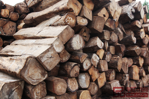 研究成果已證實人們對室內用木有積極的生理與心理反應,木材也被認作健康與康復的輔助性材料 研究成果已證實人們對室內用木有積極的生理與心理反應,木材也被認作健康與康復的輔助性材料