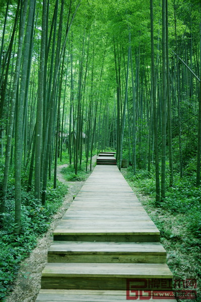 竹子象征著高雅節(jié)氣，從古至今都受到文人雅士的喜愛