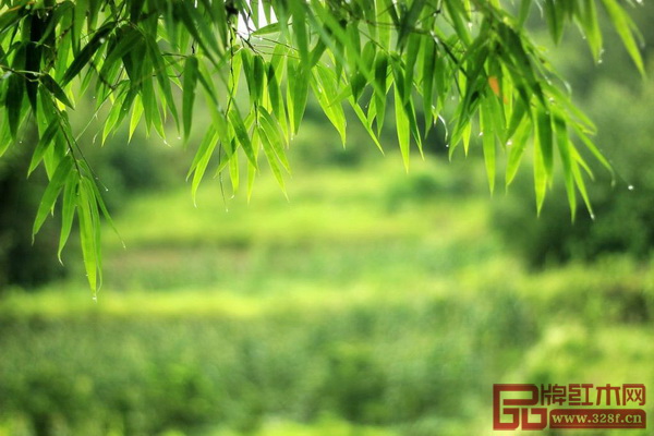 竹子象征著高雅節(jié)氣，從古至今都受到文人雅士的喜愛