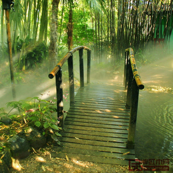 竹子象征著高雅節(jié)氣，從古至今都受到文人雅士的喜愛