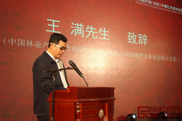 中國(guó)林產(chǎn)工業(yè)協(xié)會(huì)執(zhí)行會(huì)長(zhǎng)王滿致辭