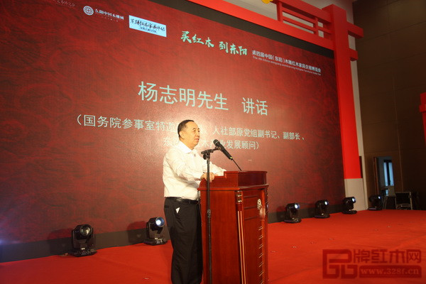 國(guó)家人力資源和社會(huì)保障部原黨組副書記、副部長(zhǎng)楊志明致辭