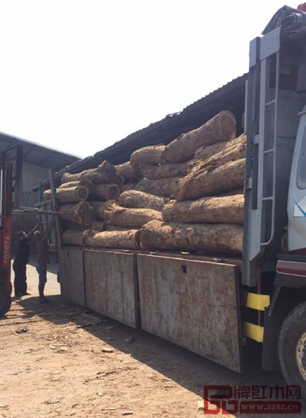 龍珍閣紅木 在印尼工廠的闊葉黃檀原木 龍珍閣紅木 在印尼工廠的闊葉黃檀原木