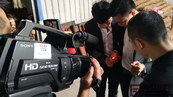 王春良向央視《老故事》制片主任介紹贊比亞小葉紫檀木性之美 王春良向央視《老故事》制片主任介紹贊比亞小葉紫檀木性之美