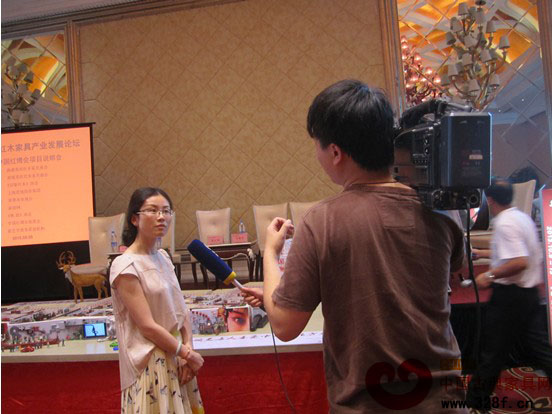 中國紅博會運營總監(jiān)汪嬋娟接受電視臺記者采訪