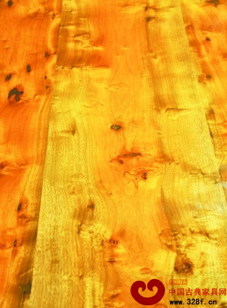金絲楠木橫切面