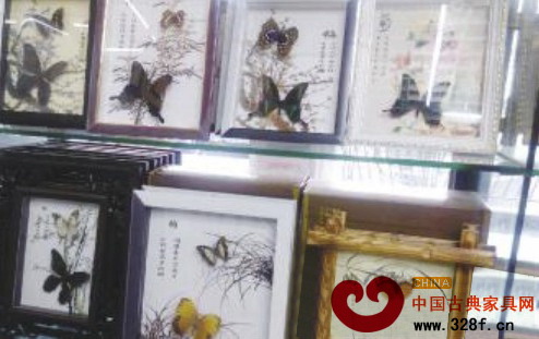 用紅木裝裱的蝴蝶標本