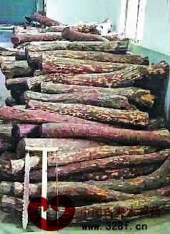 市民展示其收到的“紫檀”木料圖片