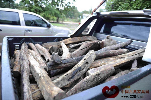 阿速坡省扶風(fēng)縣“木材檢查站”,收繳來的大紅酸枝裝滿汽車