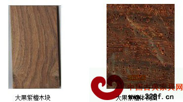 大果紫檀宏觀構(gòu)造特征