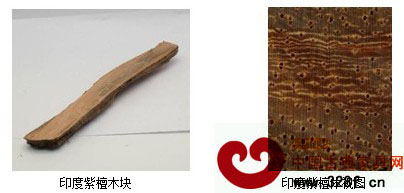 印度紫檀宏觀構(gòu)造特征