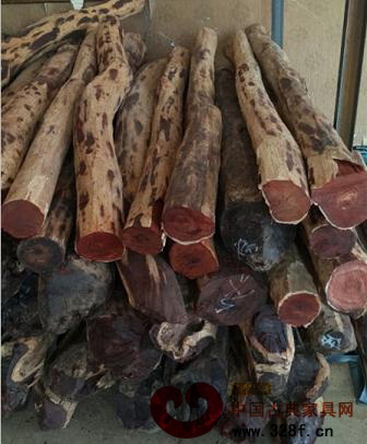 福建仙游木材市場(chǎng)紫檀木