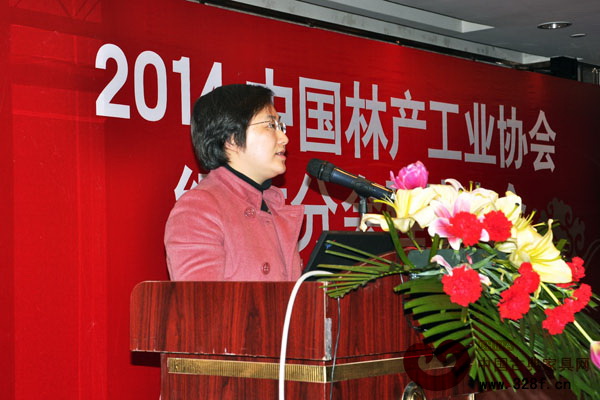 中山市沙溪鎮(zhèn)黨委委員、副鎮(zhèn)長梁冬曉在理事大會上做精彩發(fā)言