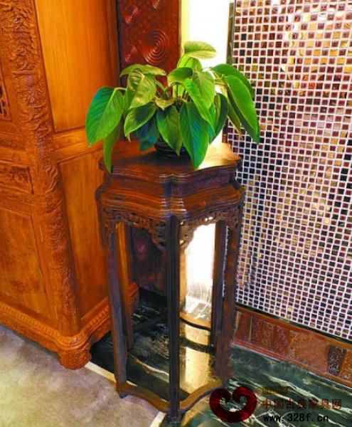 老撾紅酸枝梅花花架