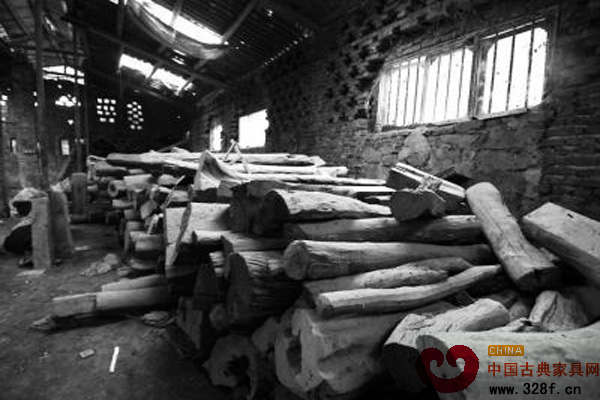 被白蟻腐蝕的紅木原料