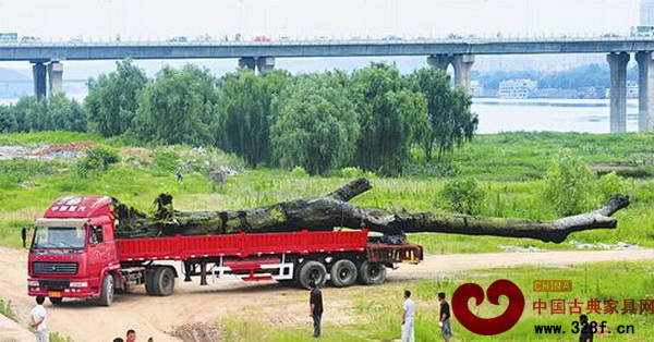 巨型烏木艱難起運(yùn)