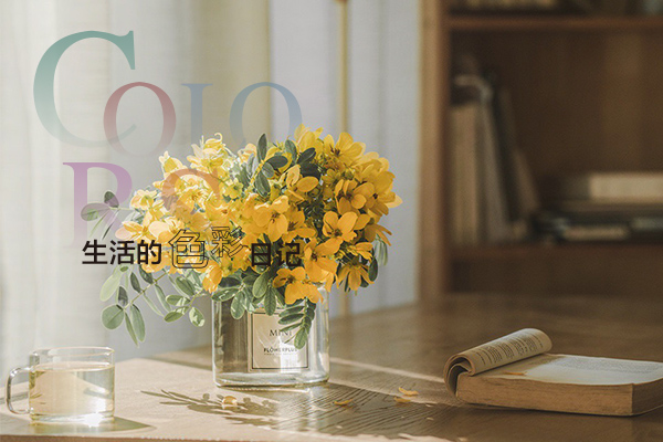 定制家的溫柔，用色彩捕捉生活的美