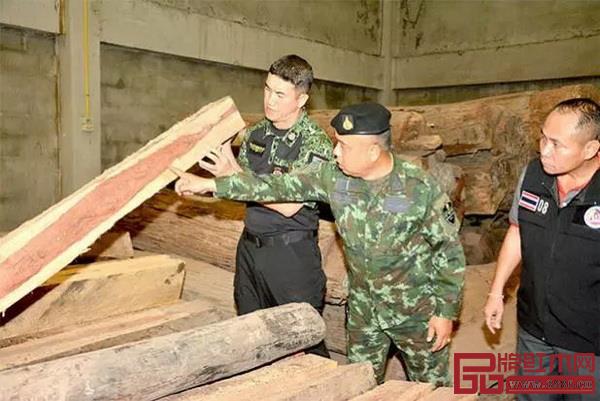 泰國(guó)森林官員、警員在北欖府地方行政工作人員陪同下，查驗(yàn)這批非法砍伐的原木和加工板枋（圖片來源：《曼谷郵報(bào)》）