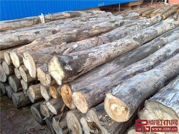 闊葉黃檀原木 闊葉黃檀原木