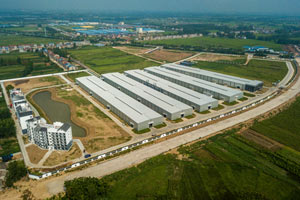 國壽紅木湖北工廠：一座園林式觀光紅木工廠