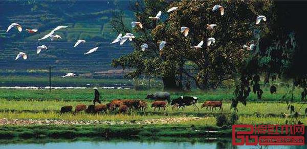 風(fēng)水可以說(shuō)是“人與自然和諧相處”的最佳實(shí)踐 風(fēng)水可以說(shuō)是“人與自然和諧相處”的最佳實(shí)踐
