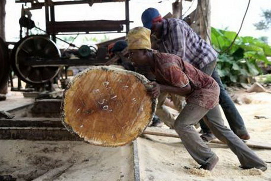 一周紅木天下事：瀕管辦發(fā)布公告，暫停尼日利亞刺猬紫檀、老撾黃檀屬貿(mào)易 | 第60期