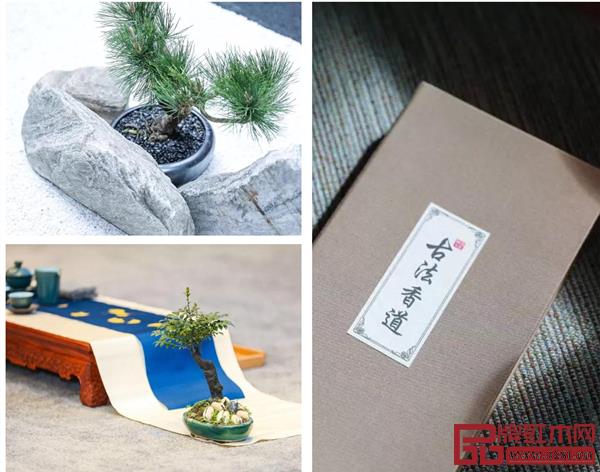 戴為生活美學館通過美的景致,營造一種最為簡單質(zhì)樸的休閑方式,還原東方生活的本真美 戴為生活美學館通過美的景致,營造一種最為簡單質(zhì)樸的休閑方式,還原東方生活的本真美