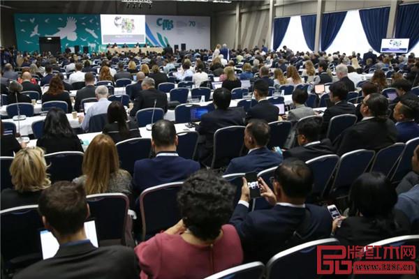 CITES建議停止老撾交趾黃檀和尼日利亞刺猬紫檀的國際貿(mào)易 CITES建議停止老撾交趾黃檀和尼日利亞刺猬紫檀的國際貿(mào)易