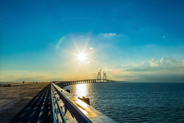 粵港澳大灣區(qū)規(guī)劃發(fā)布 紅木產(chǎn)業(yè)如何掘金？