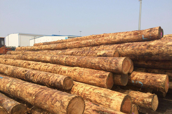 許美琪：中美貿(mào)易摩擦下，美國(guó)硬木對(duì)華出口前景幾何？