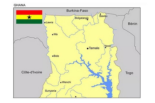 加納完全禁止刺猬紫檀出口 新砍伐將視為刑事案件