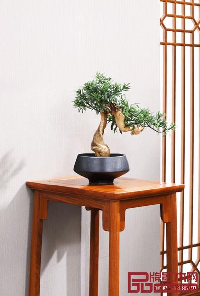  東成紅木大師書房一景