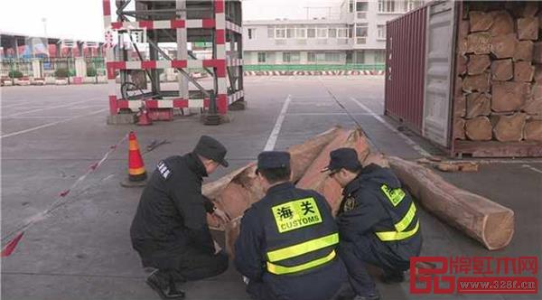 在上海海關(guān)“藍(lán)天2019”首輪集中打擊行動(dòng)中查獲刺猬紫檀438噸 在上海海關(guān)“藍(lán)天2019”首輪集中打擊行動(dòng)中查獲刺猬紫檀438噸