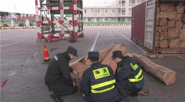 一周紅木天下事：上海海關查獲走私刺猬紫檀438噸 | 第76期