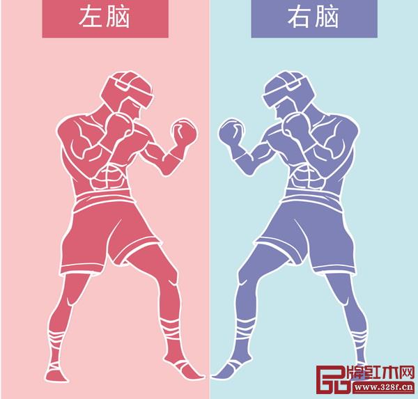左腦VS右腦 左腦VS右腦