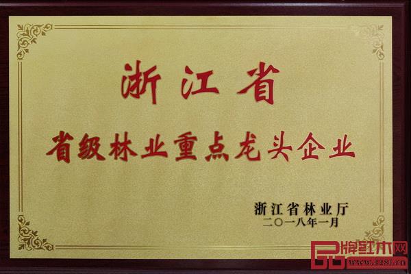 恒達(dá)木業(yè)榮獲“浙江省林業(yè)重點(diǎn)龍頭企業(yè)” 恒達(dá)木業(yè)榮獲“浙江省林業(yè)重點(diǎn)龍頭企業(yè)”